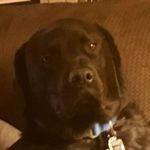 Meet your Posher, Jason